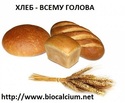 Хлеб + живой кальций = ЗДОРОВЬЕ
